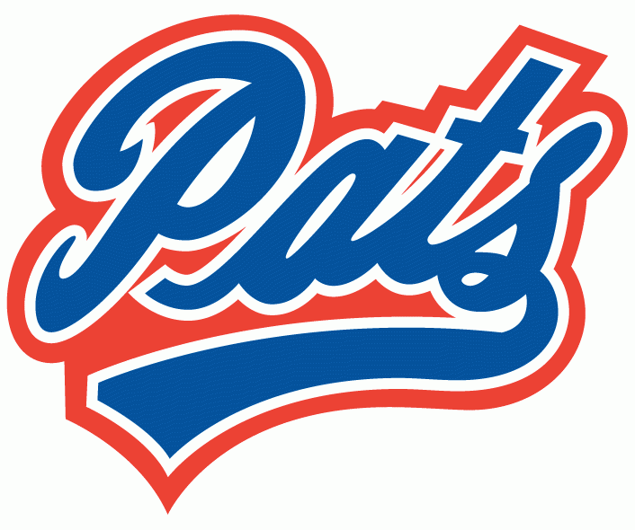 regina pats 2009-pres primary logo iron on transfers for T-shirts